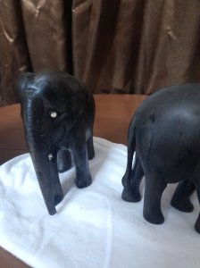 محافظه المنيا  جمهوريه مصر العريه 4