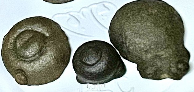 تماثيل متحجره قديمة