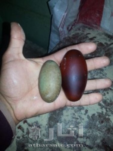 أحجار كريمة يمة جدا