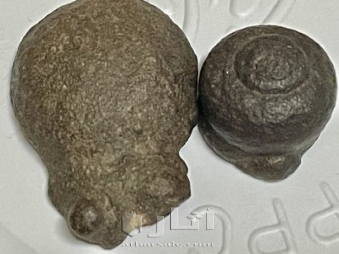 تماثيل متحجره قديمة