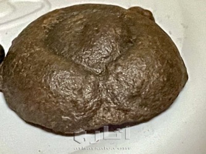 تماثيل متحجره قديمة