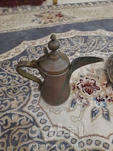 المدينة المنورة القصواء