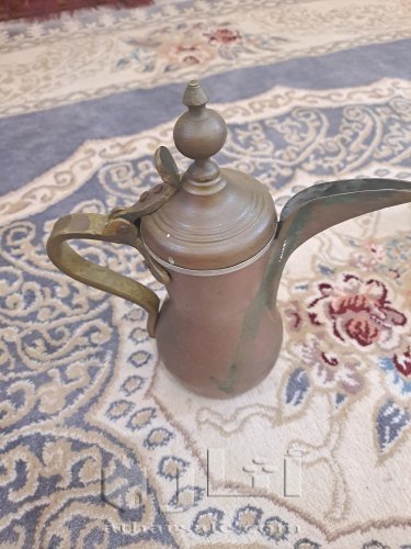 المدينة المنورة القصواء