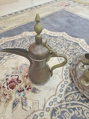 المدينة المنورة القصواء