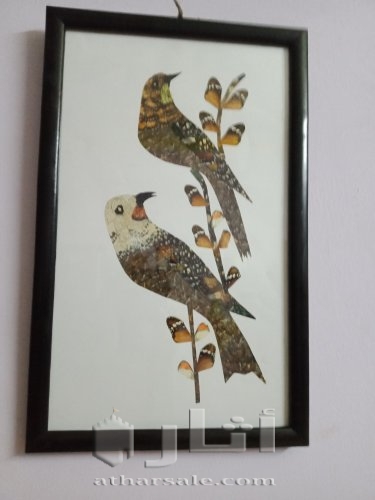 لوحه معموله من الفراشات ???? Made of butterflies
