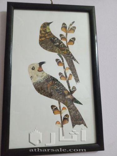 لوحه مرسومه من اجناحه الفراشات الحقيقه ????