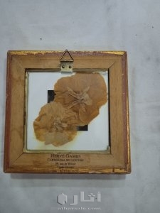 لوحة اللوفر الزهور