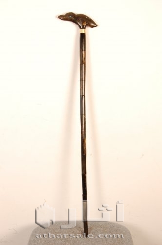 عصئ وحيد قرن للبيع