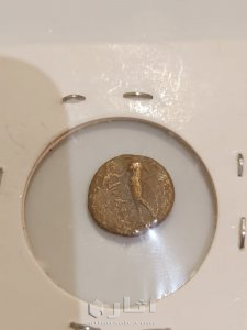 Saudi Arabia  yanbu 11