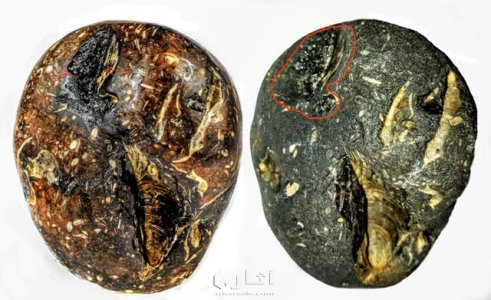 متحف جيولوجى اثرى قديم نادر جدا 33