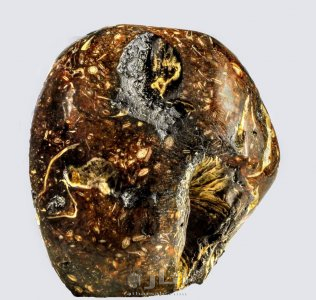 متحف جيولوجى اثرى قديم نادر جدا 31