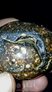 متحف جيولوجى اثرى قديم نادر جدا 29