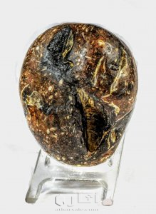 متحف جيولوجى اثرى قديم نادر جدا 26