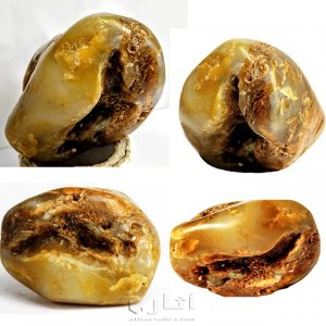 متحف جيولوجى اثرى قديم نادر جدا 13