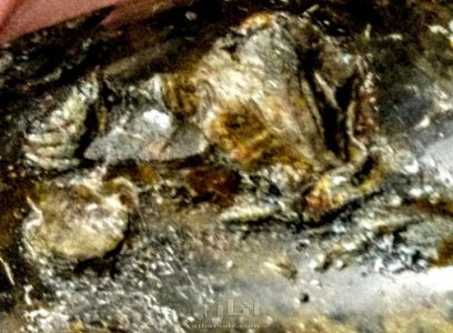 متحف جيولوجى اثرى قديم نادر جدا 12