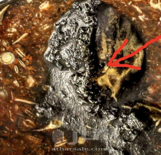 متحف جيولوجى اثرى قديم نادر جدا