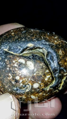 متحف جيولوجى اثرى قديم نادر جدا