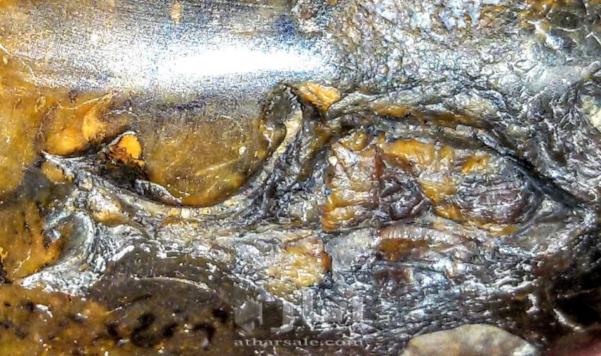 متحف جيولوجى اثرى قديم نادر جدا