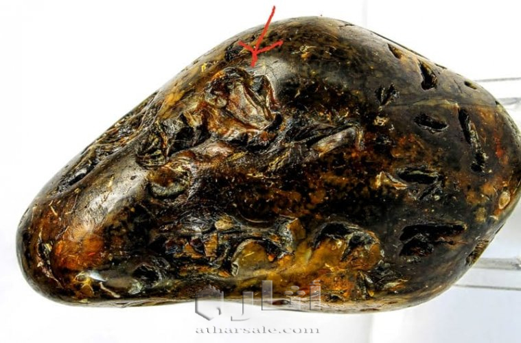 متحف جيولوجى اثرى قديم نادر جدا