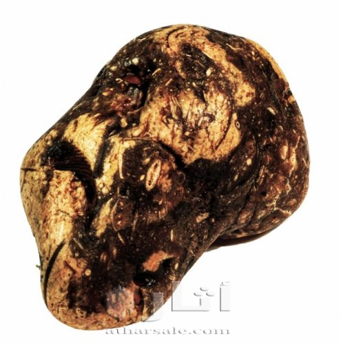 متحف جيولوجى اثرى قديم نادر جدا