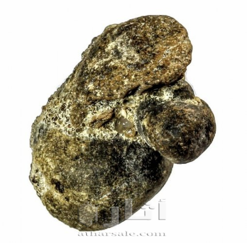 متحف جيولوجى اثرى قديم نادر جدا