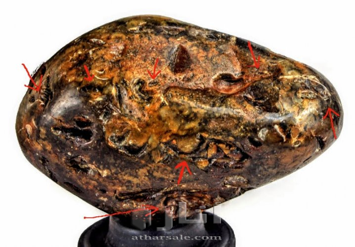 متحف جيولوجى اثرى قديم نادر جدا