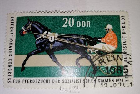 جدة / رقم الهاتف للتواصل : 0547545235 8