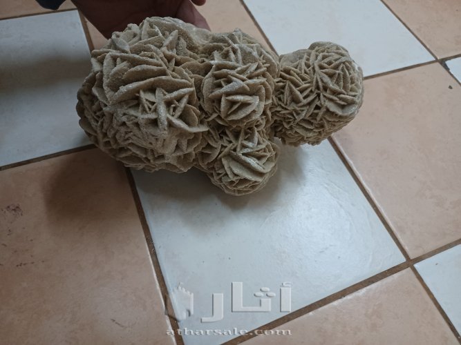 وردة الصحراء.. Desert rose stone