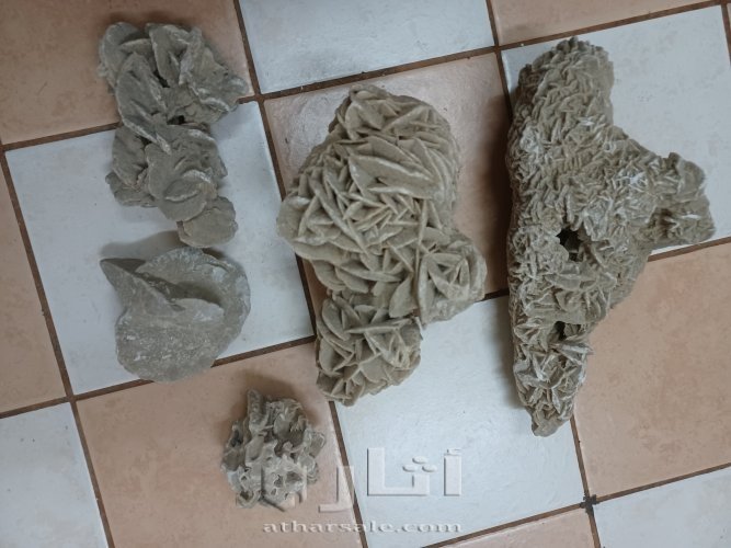 وردة الصحراء.. Desert rose stone