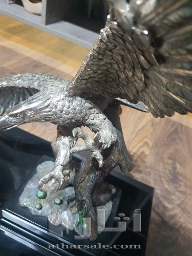 صقر فضة للبيع