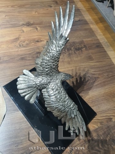 صقر فضة للبيع