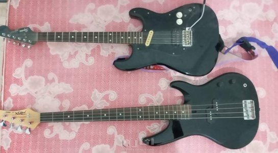 ليبيا يوجد شحن دولى قيثار عمره100سنة