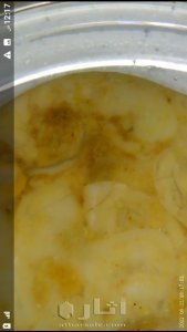 حجارة طبيعية بأشكال ورسومات 16