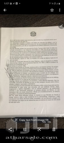 ردولفو مورالس من المكسيك ولد عام ١٩٢٥ ولايه وهاكا المكسيكيه ولوحاته تعتبر من الكنز الوطني المكسيكي