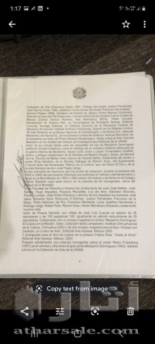 ردولفو مورالس من المكسيك ولد عام ١٩٢٥ ولايه وهاكا المكسيكيه ولوحاته تعتبر من الكنز الوطني المكسيكي