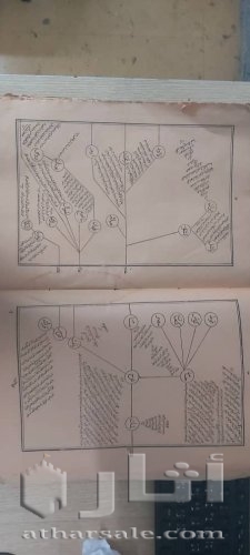النسخة الأصلية الأولى من سبائك الذهب في معرفة قبائل العرب