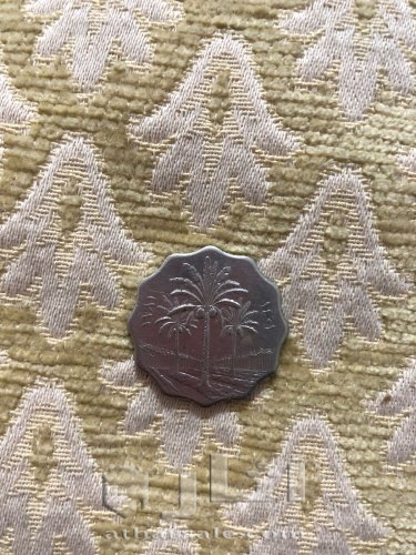 عملة عراقية قديمة ١٩٨١