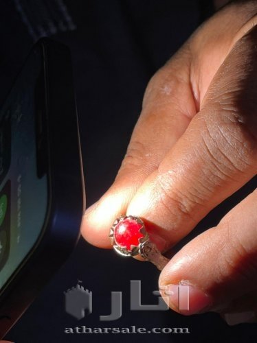 Antique, antique natural red coral lobe ring