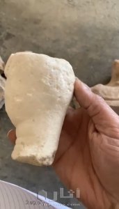 قطع سومريه تعرض لأول مره