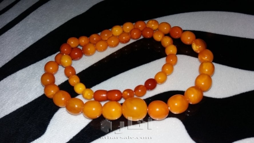 كهرب كهرمان عنبر عقد نساء