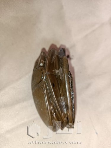 جعران فرعوني