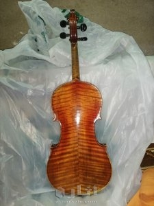 كمنجه اثريه 7