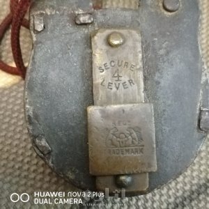 Two squirrels holding a padlock