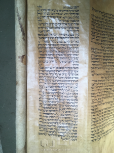 Judaica Torah scroll 7