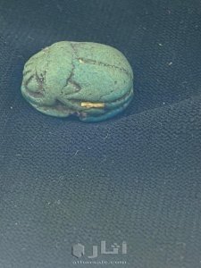 جعران فرعوني