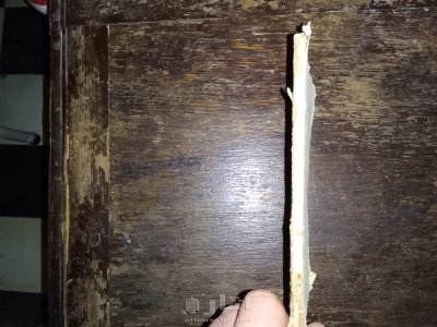 كتب الدين الحج العمرة وزيارة المدينة المنورة على المذاهب الاربعة 16