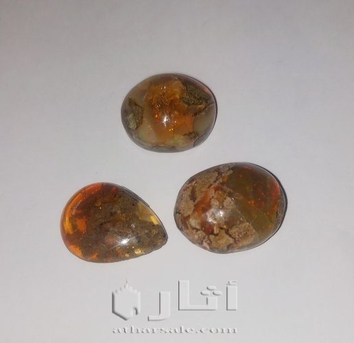 اوبال استرالي نادر