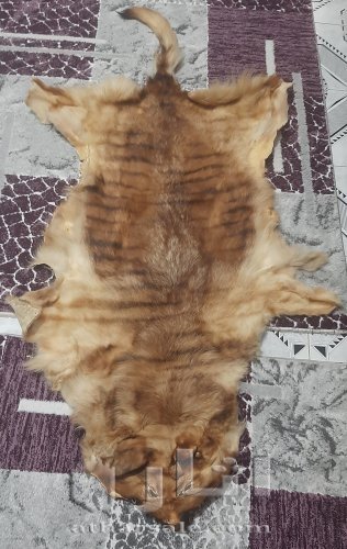 فراء ثمين جدا ذو قيمه
