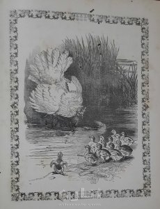 الروض النضير لبهجة كل ولد صغير 12