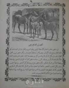 الروض النضير لبهجة كل ولد صغير 10